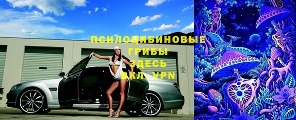 герыч Алзамай