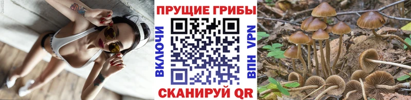 Псилоцибиновые грибы мухоморы  хочу наркоту  Циолковский 